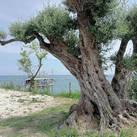 Arcobaleno בית נופש